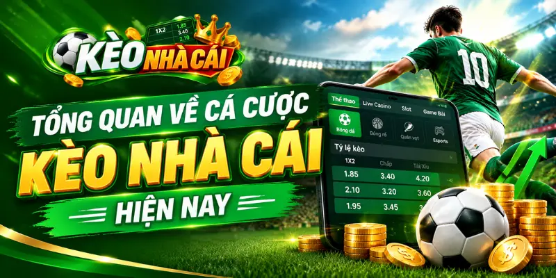 Tổng quan về cá cược kèo nhà cái hiện nay